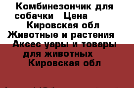 Комбинезончик для собачки › Цена ­ 400 - Кировская обл. Животные и растения » Аксесcуары и товары для животных   . Кировская обл.